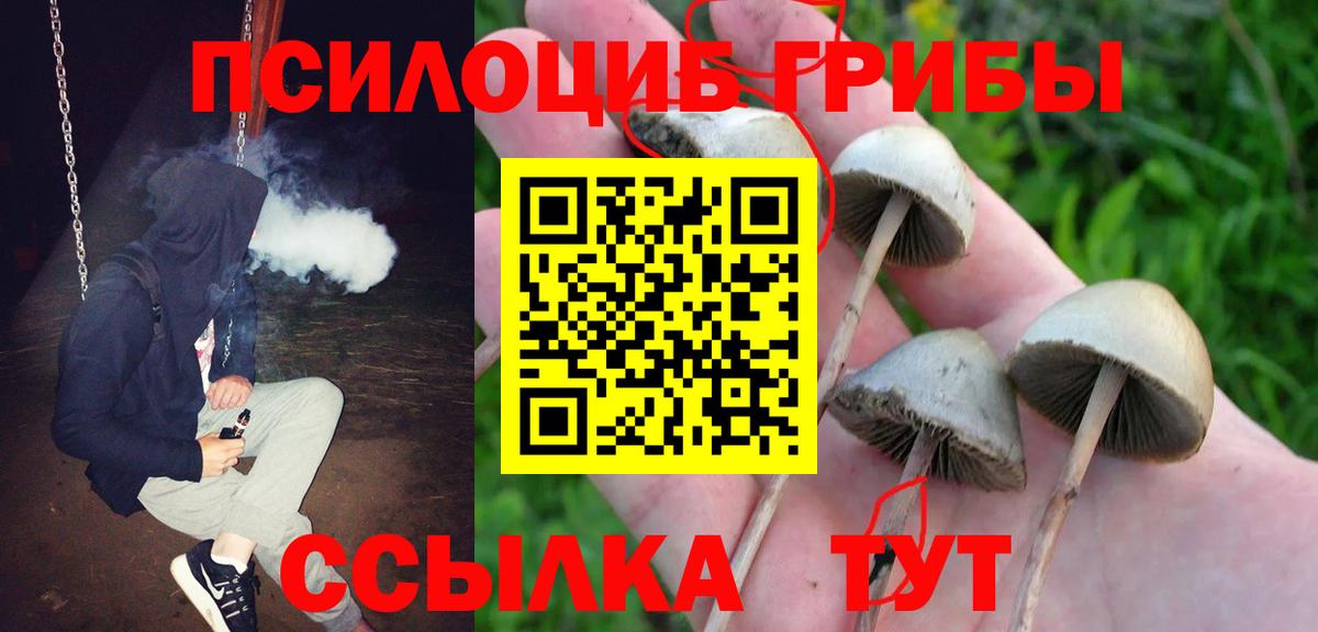 Ирбит  Галлюциногенные грибы Cubensis  Вход с VPN 