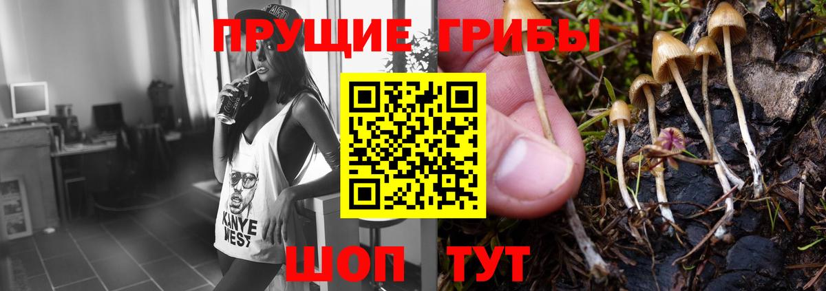 Галлюциногенные грибы GOLDEN TEACHER Ирбит